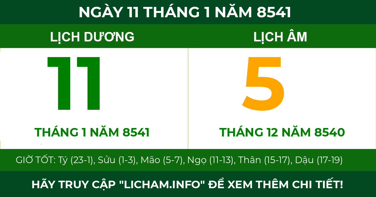 lịch âm ngày 11 tháng 1 năm 8541